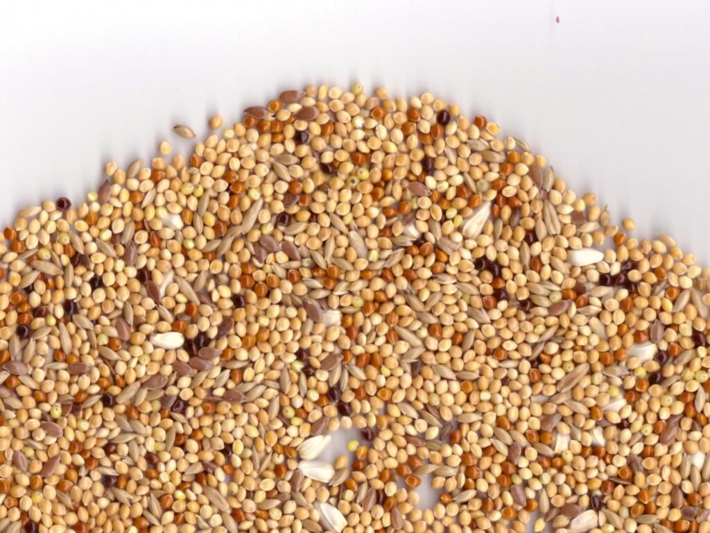 04.Grain mix for birds