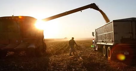 Strong Network of Local Farmers