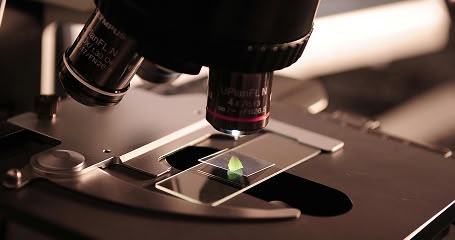 High Processing & Storage Capacity